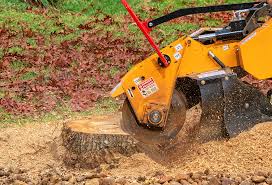 Best Weed Control  in Glen Cove, NY