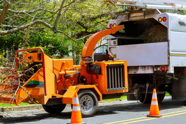 Best Landscape Design and Installation  in Glen Cove, NY